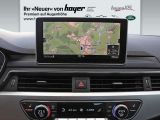 Audi A4 Allroad Quattro bei Gebrauchtwagen.expert - Abbildung (7 / 15)
