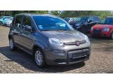Fiat Panda bei Gebrauchtwagen.expert - Abbildung (3 / 11) Fiat Panda bei Gebrauchtwagen.expert - Abbildung (3 / 11)