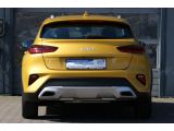 Kia XCeed bei Gebrauchtwagen.expert - Abbildung (8 / 15)