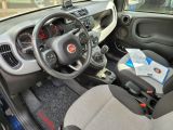 Fiat Panda bei Gebrauchtwagen.expert - Abbildung (10 / 15)
