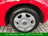 VW New Beetle bei Gebrauchtwagen.expert - Abbildung (5 / 15)