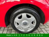 VW New Beetle bei Gebrauchtwagen.expert - Abbildung (5 / 15)