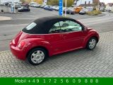 VW New Beetle bei Gebrauchtwagen.expert - Abbildung (11 / 15)