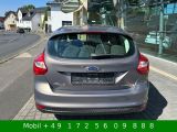 Ford Focus bei Gebrauchtwagen.expert - Abbildung (14 / 15)