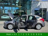 Ford Focus bei Gebrauchtwagen.expert - Abbildung (4 / 15)