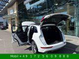 Audi SQ5 bei Gebrauchtwagen.expert - Abbildung (7 / 15) Audi SQ5 bei Gebrauchtwagen.expert - Abbildung (7 / 15)