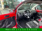 VW New Beetle bei Gebrauchtwagen.expert - Abbildung (9 / 15)
