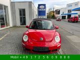 VW New Beetle bei Gebrauchtwagen.expert - Abbildung (15 / 15)