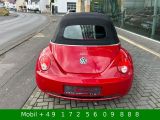 VW New Beetle bei Gebrauchtwagen.expert - Abbildung (13 / 15)