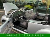 VW New Beetle bei Gebrauchtwagen.expert - Abbildung (7 / 15)
