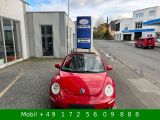 VW New Beetle bei Gebrauchtwagen.expert - Abbildung (4 / 15)