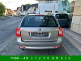 Skoda Octavia bei Gebrauchtwagen.expert - Abbildung (6 / 15)