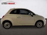 Fiat 500 bei Gebrauchtwagen.expert - Abbildung (6 / 15)