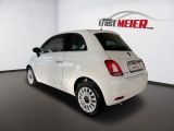 Fiat 500 bei Gebrauchtwagen.expert - Abbildung (3 / 15)