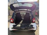 Smart smart fortwo bei Gebrauchtwagen.expert - Abbildung (14 / 15)