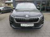 Skoda Karoq bei Gebrauchtwagen.expert - Abbildung (2 / 15)