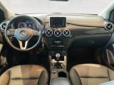 Mercedes-Benz B-Klasse bei Gebrauchtwagen.expert - Abbildung (8 / 15)