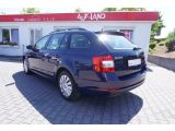 Skoda Octavia bei Gebrauchtwagen.expert - Abbildung (3 / 15)