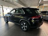 Mercedes-Benz GLE-Klasse bei Gebrauchtwagen.expert - Abbildung (10 / 15)