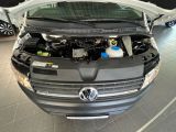 VW T6 bei Gebrauchtwagen.expert - Abbildung (6 / 15)