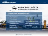 Opel Astra bei Gebrauchtwagen.expert - Abbildung (8 / 15)