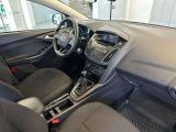 Ford Focus Turnier bei Gebrauchtwagen.expert - Abbildung (10 / 11)