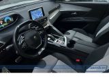 Peugeot 3008 bei Gebrauchtwagen.expert - Abbildung (14 / 15)