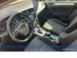 VW Golf VII bei Gebrauchtwagen.expert - Abbildung (13 / 15)