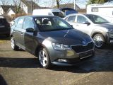 Skoda Fabia bei Gebrauchtwagen.expert - Abbildung (2 / 9)