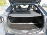 Subaru Solterra bei Gebrauchtwagen.expert - Abbildung (13 / 15)