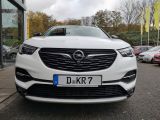 Opel Grandland X bei Gebrauchtwagen.expert - Abbildung (3 / 15)