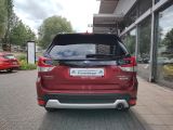 Subaru Forester bei Gebrauchtwagen.expert - Abbildung (7 / 15)