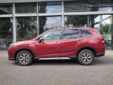 Subaru Forester bei Gebrauchtwagen.expert - Abbildung (5 / 15)