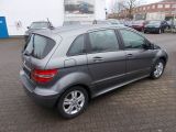 Mercedes-Benz B-Klasse bei Gebrauchtwagen.expert - Abbildung (5 / 15)