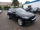 Jaguar F-Pace bei Gebrauchtwagen.expert - Abbildung (3 / 15)