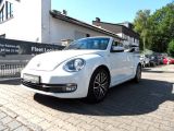 VW Beetle bei Gebrauchtwagen.expert - Abbildung (2 / 15)
