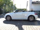 VW Beetle bei Gebrauchtwagen.expert - Abbildung (8 / 15)