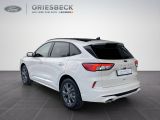 Ford Kuga bei Gebrauchtwagen.expert - Abbildung (3 / 15)