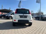 Fiat Panda bei Gebrauchtwagen.expert - Abbildung (3 / 15)