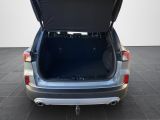Ford Kuga bei Gebrauchtwagen.expert - Abbildung (14 / 15)