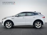 Jaguar E-Pace bei Gebrauchtwagen.expert - Abbildung (2 / 15)