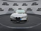Alfa Romeo Giulia bei Gebrauchtwagen.expert - Abbildung (3 / 15)