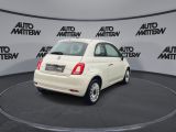 Fiat 500 bei Gebrauchtwagen.expert - Abbildung (6 / 15) Fiat 500 bei Gebrauchtwagen.expert - Abbildung (6 / 15)