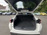 Nissan Juke bei Gebrauchtwagen.expert - Abbildung (7 / 15)