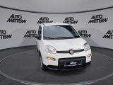 Fiat Panda bei Gebrauchtwagen.expert - Abbildung (2 / 15) Fiat Panda bei Gebrauchtwagen.expert - Abbildung (2 / 15)