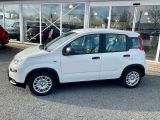 Fiat Panda bei Gebrauchtwagen.expert - Abbildung (2 / 15)