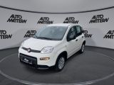 Fiat Panda bei Gebrauchtwagen.expert - Abbildung (3 / 15) Fiat Panda bei Gebrauchtwagen.expert - Abbildung (3 / 15)