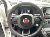 Fiat Panda bei Gebrauchtwagen.expert - Abbildung (14 / 15) Fiat Panda bei Gebrauchtwagen.expert - Abbildung (14 / 15)