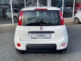 Fiat Panda bei Gebrauchtwagen.expert - Abbildung (8 / 15)