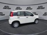 Fiat Panda bei Gebrauchtwagen.expert - Abbildung (8 / 15) Fiat Panda bei Gebrauchtwagen.expert - Abbildung (8 / 15)